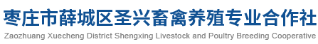枣庄市薛城区圣兴畜禽养殖专业合作社